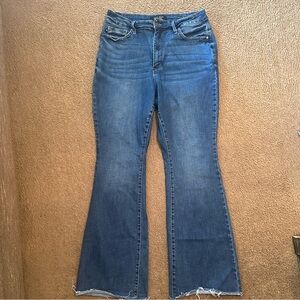 Women’s Judy Blue Tummy control jeans size 16W